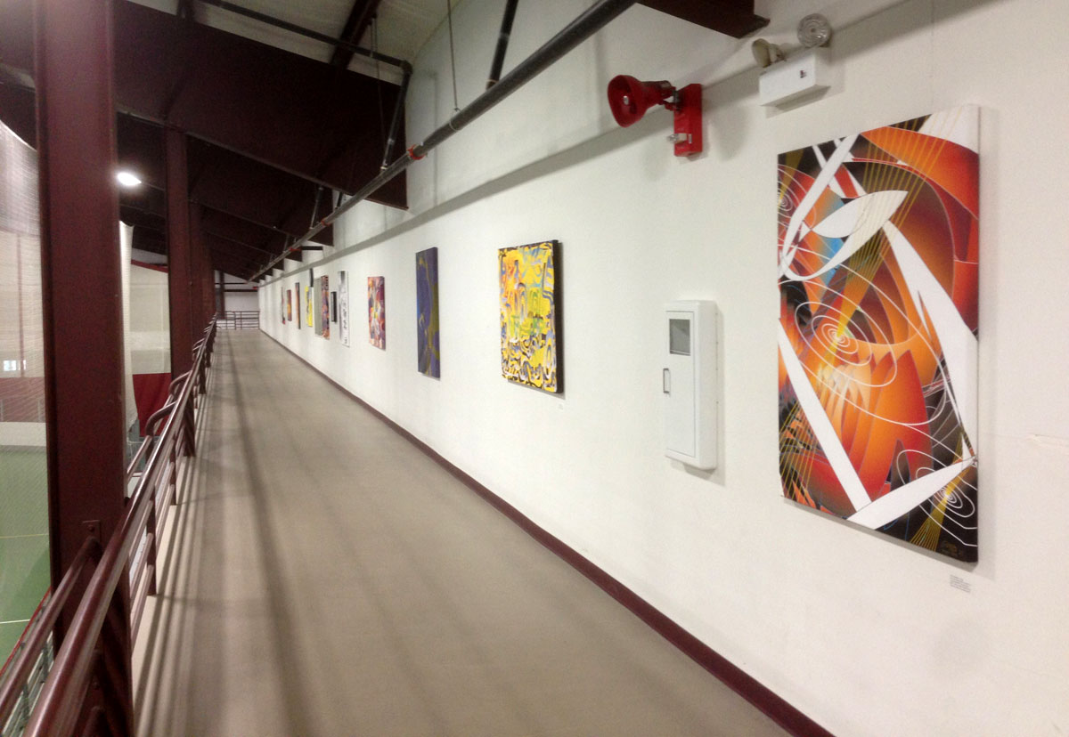 Colin Goldberg, Metagraph canvasses. Southampton Town Recreation Center, Installation View.