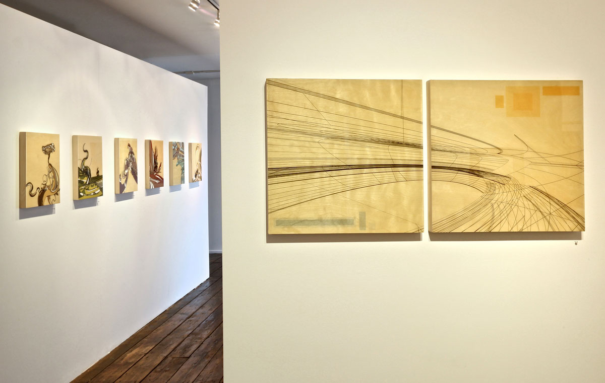Colin Goldberg - Improbable Forms at Art Sites Gallery : Installation View. Photograph by Jeff Heatley.