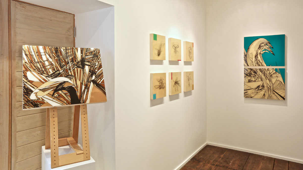 Colin Goldberg - Improbable Forms at Art Sites Gallery : Installation View. Photograph by Jeff Heatley.