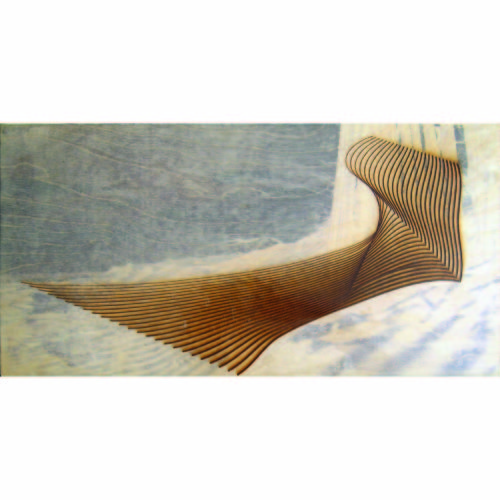 Colin Goldberg, Flying Point, 2006. Laser-etched wood panel with pigment and liquid polymer, 12 x 24 inches. Private collection, New York.
