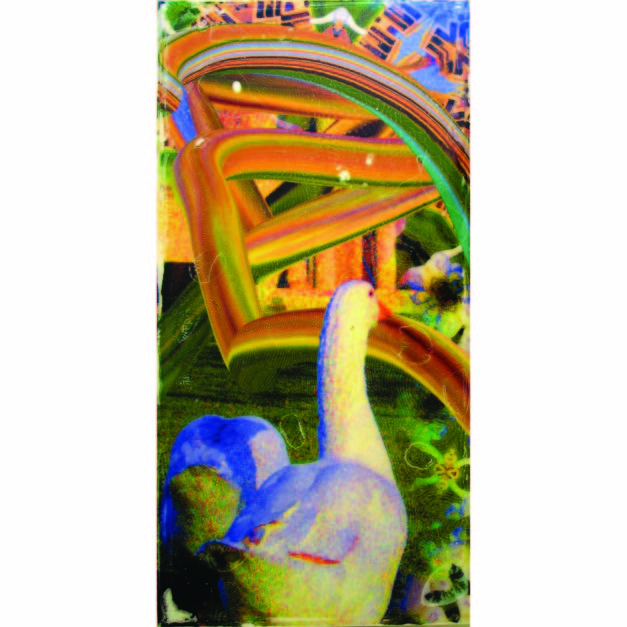 Agawam Goose #2, 2006. Pigment on wood panel with liquid polymer, 12 x 24 inches.