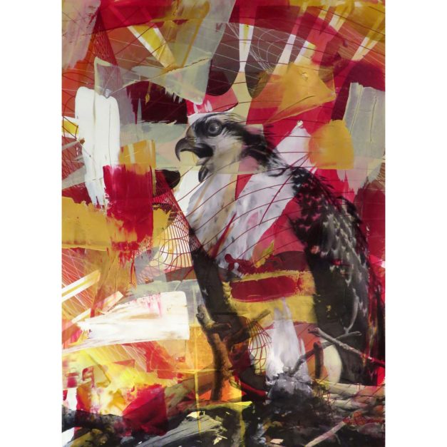 Red Osprey #1, 2015. Acrylic and pigment print on Rives BFK paper. 29 x 21 inches. Private collection.