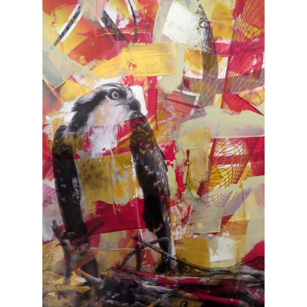 Red Osprey #2, 2015. Acrylic and pigment print on Rives BFK paper. 29 x 21 inches. Private collection.