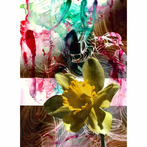 Colin Goldberg, Daffodil #2, 2018. India ink, acrylic and pigment print with iridescent primer on Rives BFK paper. 29 x 21 inches.