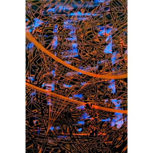 Colin Goldberg, Vortex #2, 2007. Acrylic and silkscreen on paper. 18 x 12 inches (45.72 x 30.48 cm).